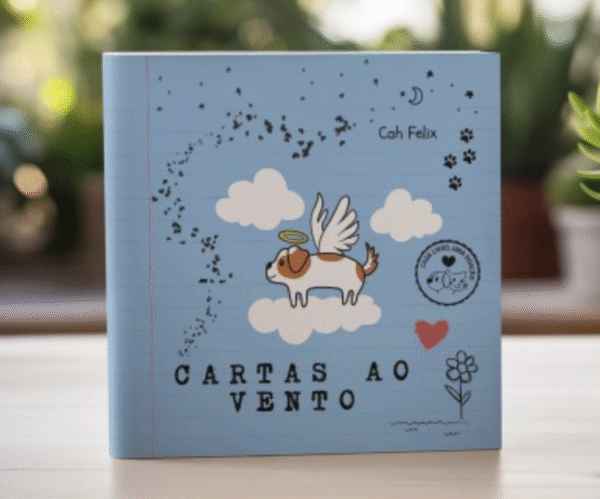 Livro Cartas ao Vento